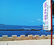 长岛海之恋花苑渔家乐